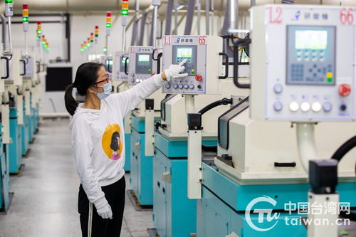 聚力轉(zhuǎn)型強(qiáng)動(dòng)能 江蘇泰州臺(tái)資企業(yè)拓展提質(zhì)邁出新步伐